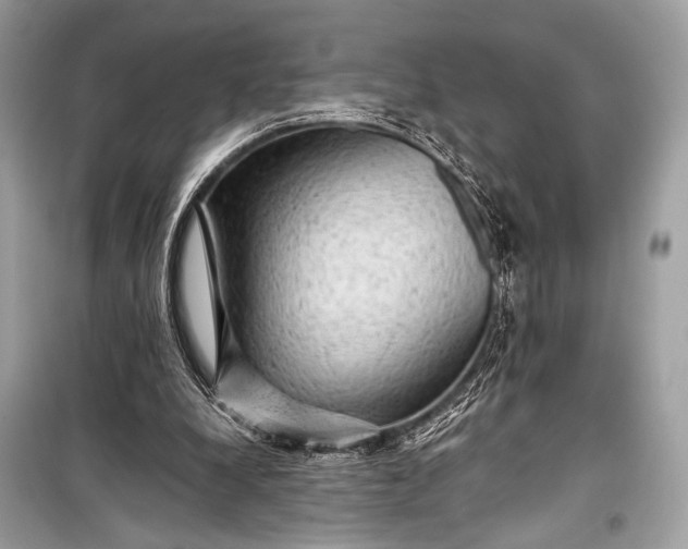 X0000099290248200805161332