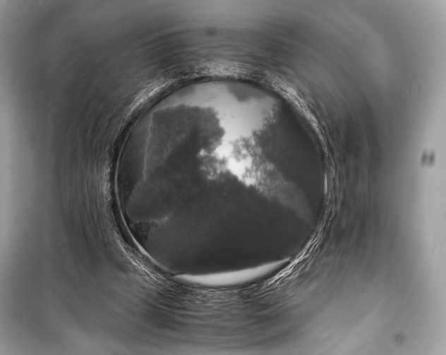 X0000099290249200805161332