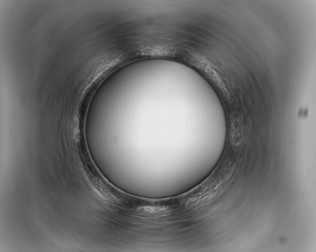 X0000099290251200805161332