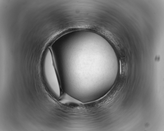 X0000099290252200805161332