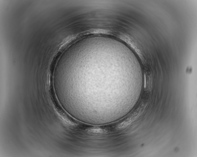 X0000099290253200805161332