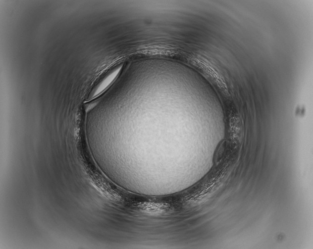 X0000099290255200805161332