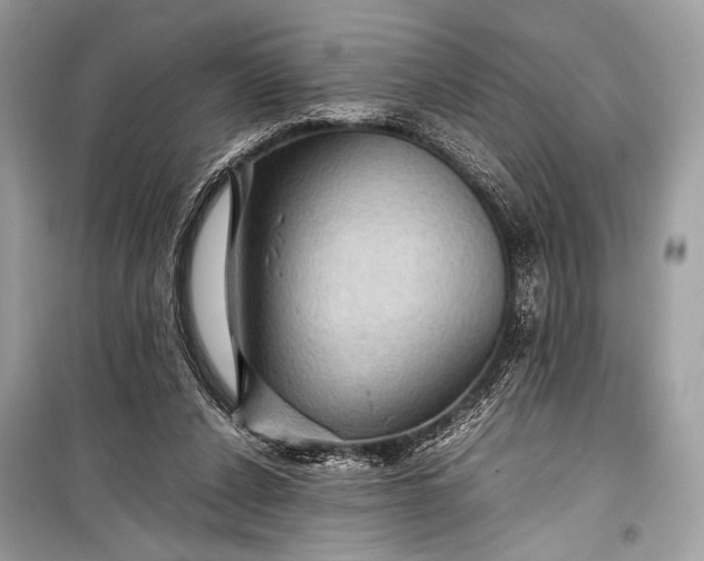 X0000099290256200805161332