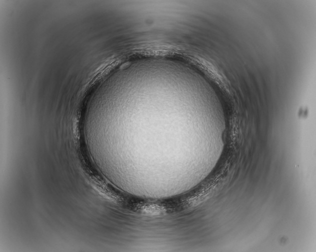 X0000099290258200805161332