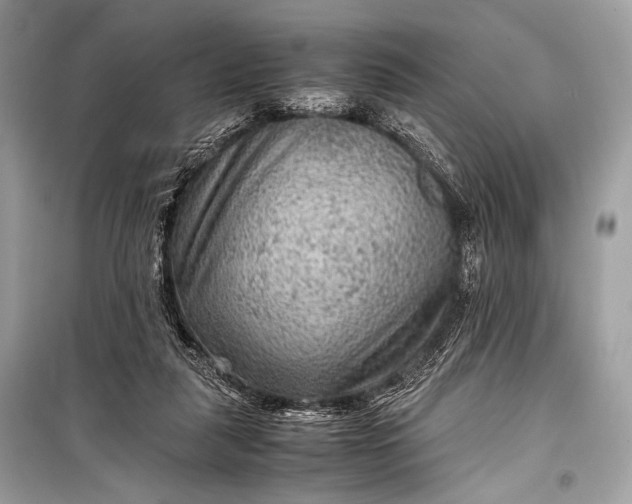 X0000099290259200805161332