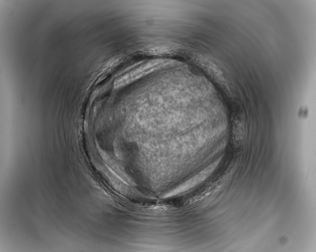 X0000099290260200805161332