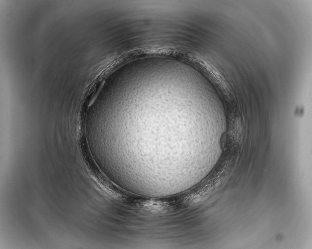 X0000099290261200805161332