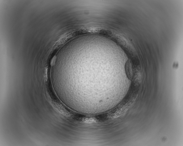 X0000099290262200805161332