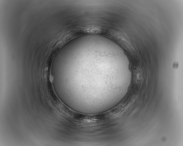 X0000099290263200805161332