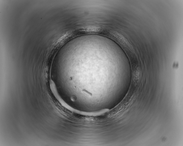 X0000099290264200805161332