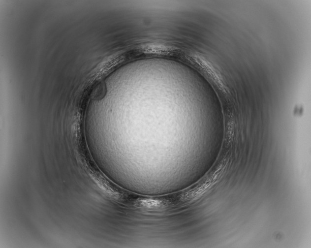 X0000099290265200805161332