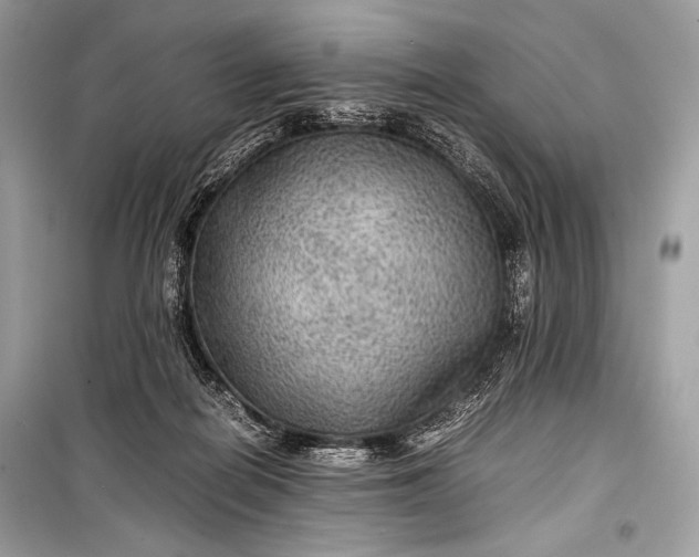 X0000099290266200805161332