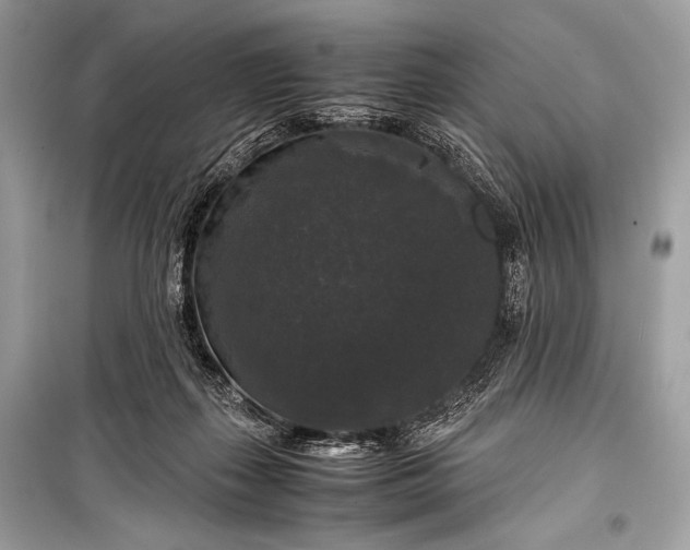 X0000099290267200805161332