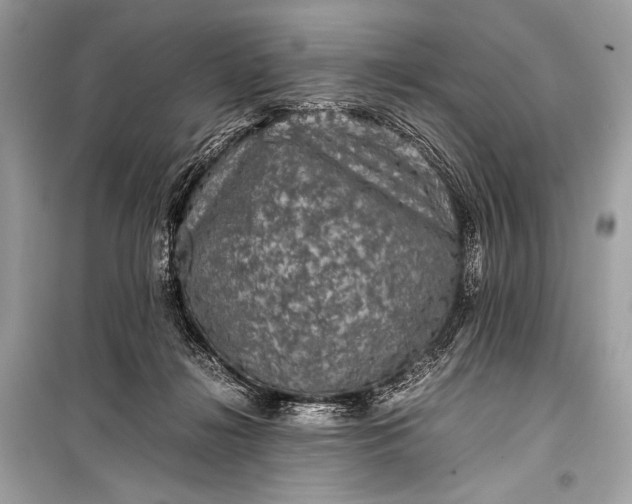 X0000099290268200805161332