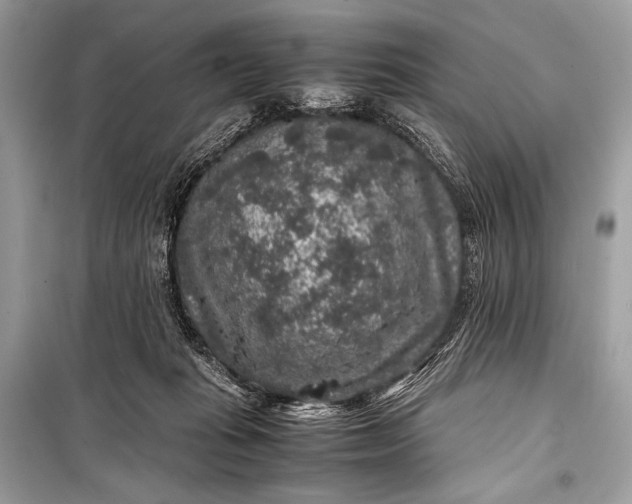 X0000099290269200805161332