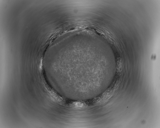 X0000099290272200805161332