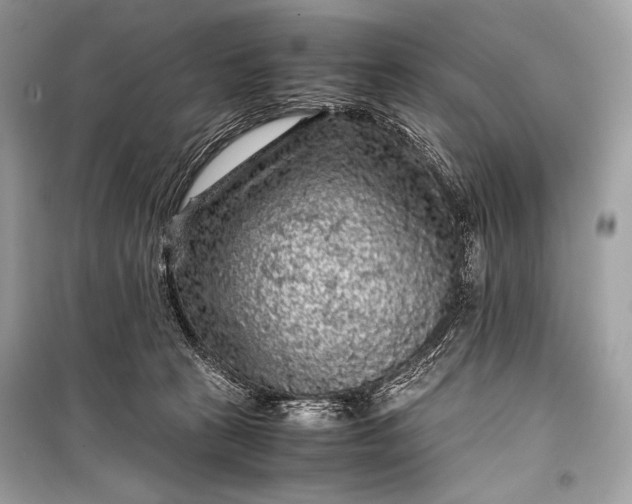 X0000099290273200805161332