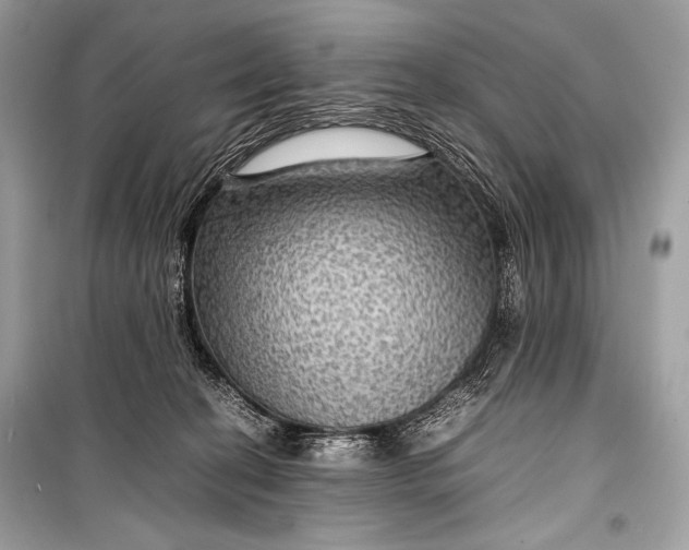 X0000099290274200805161332