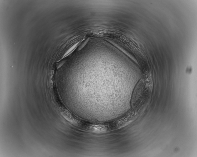 X0000099290275200805161332