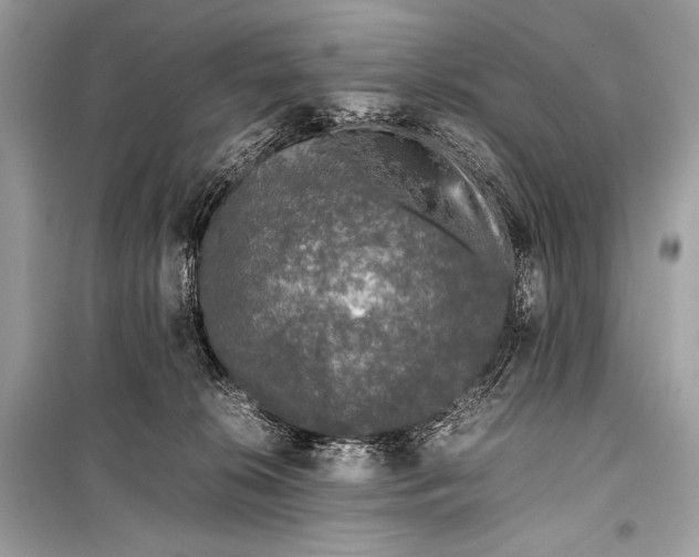 X0000099290276200805161332