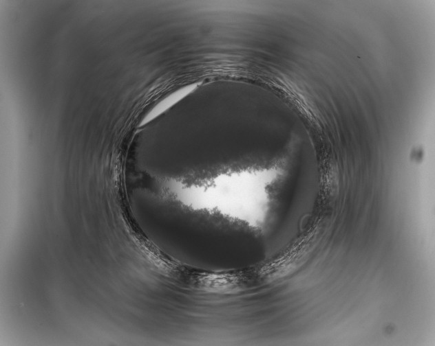 X0000099290277200805161332