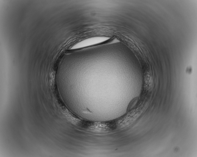 X0000099290278200805161332