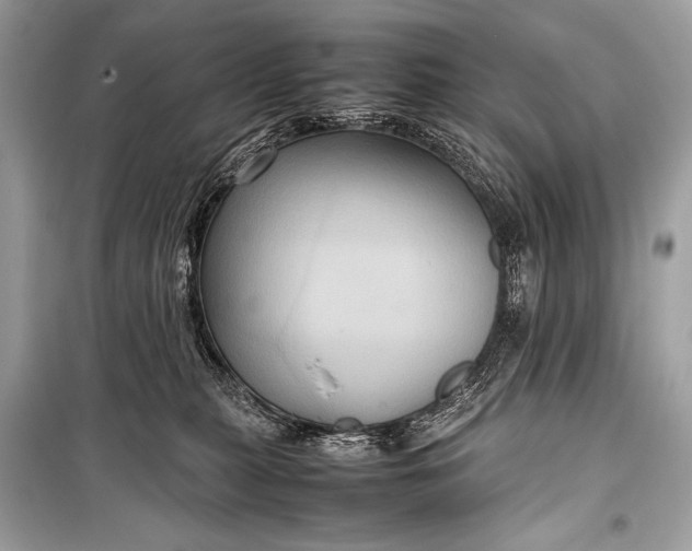 X0000099290279200805161332