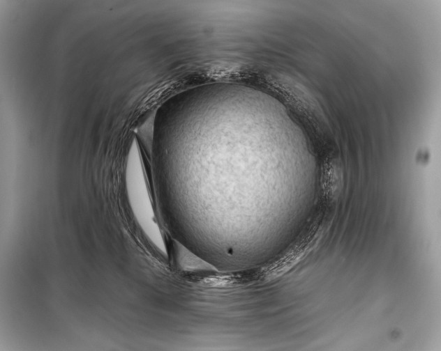 X0000099290280200805161332