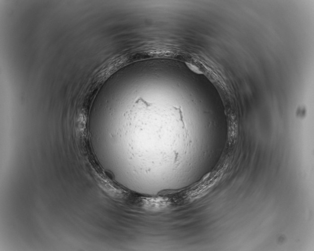 X0000099290281200805161332