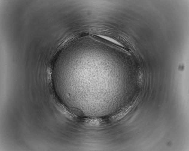 X0000099290282200805161332