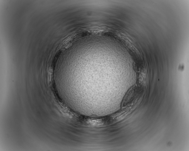 X0000099290283200805161332