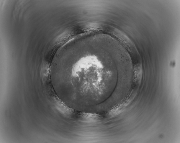 X0000099290284200805161332