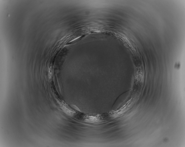 X0000099290285200805161332