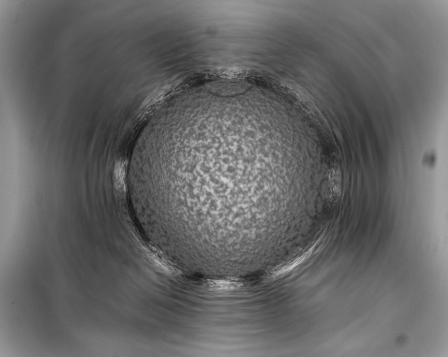 X0000099290286200805161332