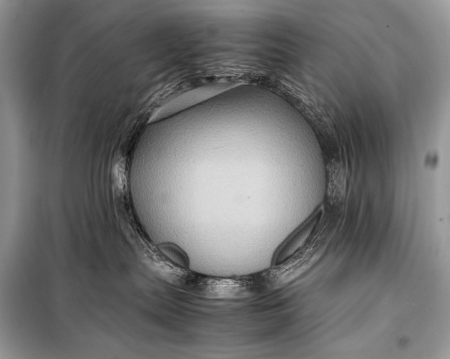 X0000099290287200805161332