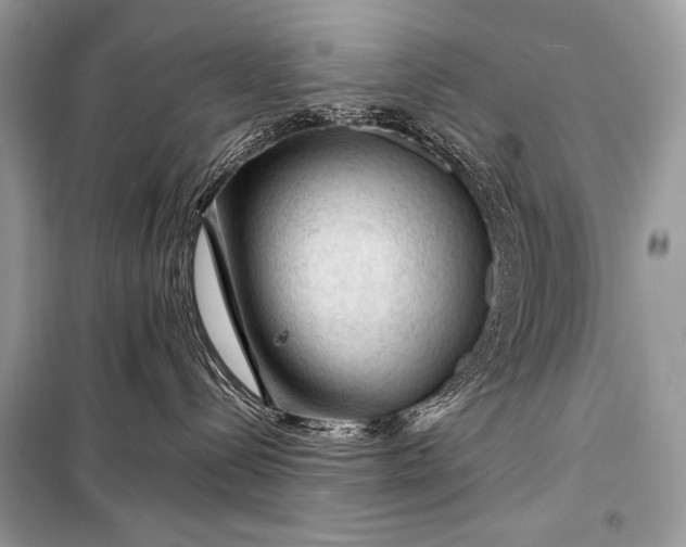 X0000099290288200805161332