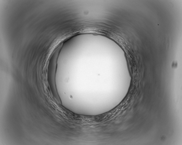 X0000099290289200805161332