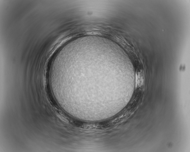 X0000099290291200805161331