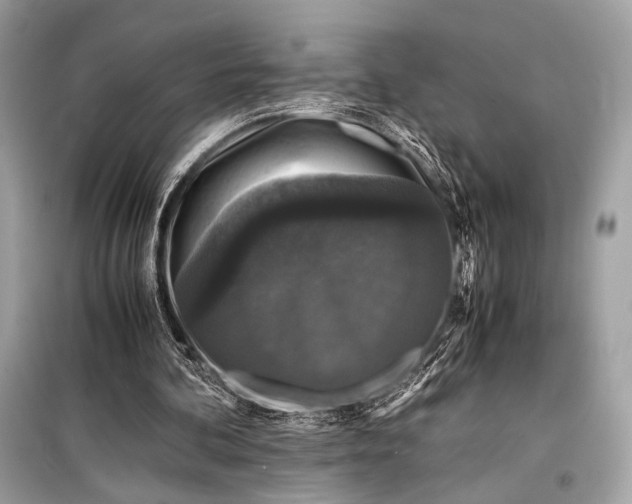 X0000099290292200805161331