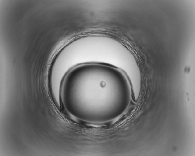 X0000099290293200805161331