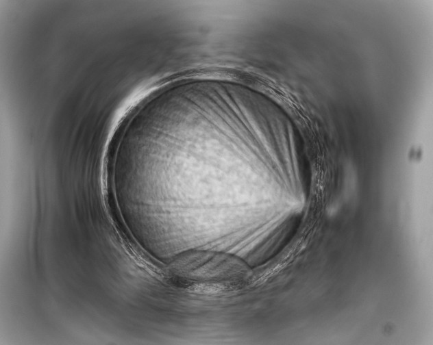 X0000099290294200805161331