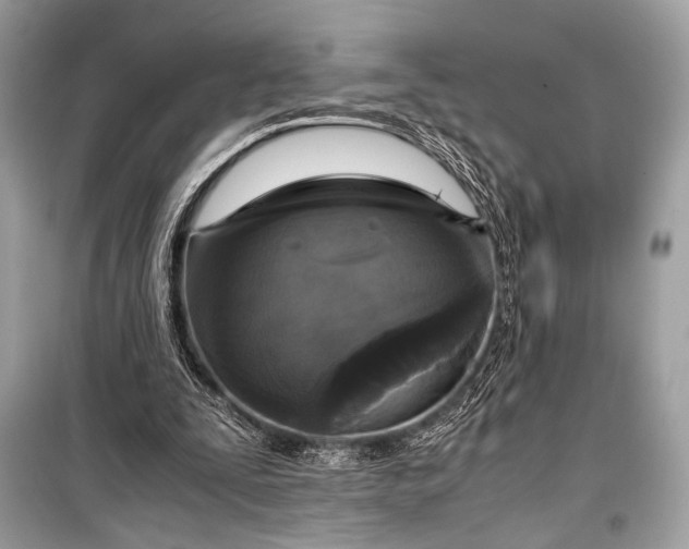 X0000099290295200805161331