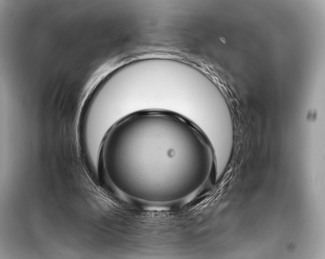 X0000099290296200805161331