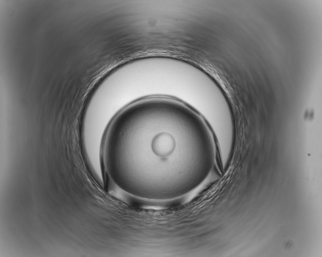 X0000099290297200805161331