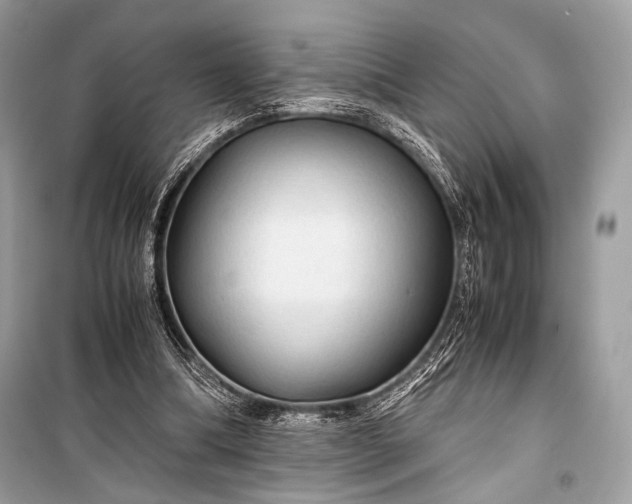 X0000099290298200805161331