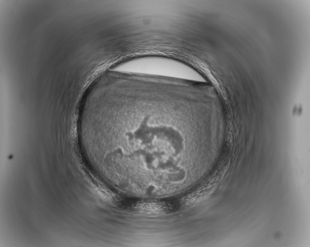 X0000099290299200805161331