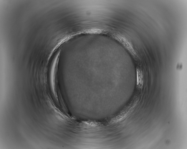 X0000099290300200805161331