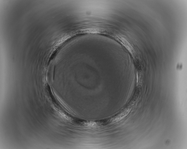 X0000099290301200805161331