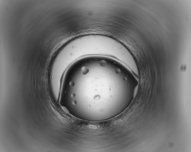 X0000099290302200805161331