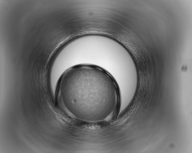 X0000099290304200805161331